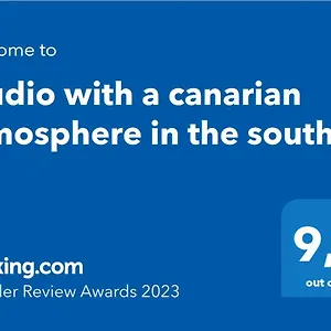 https://studio-with-a-canarian-atmosphere-in-the-south.tenerifehoteles.net
